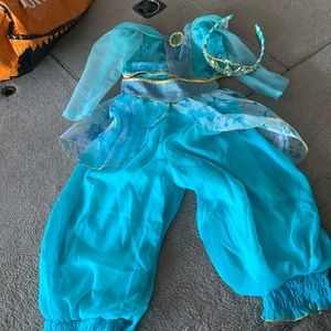 Princess Jasmine Costume